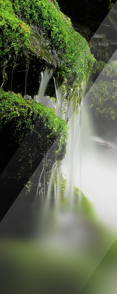Hover Image